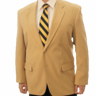 Mens Camel (Tan) Blazer